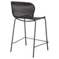 McKenna Faux Rattan Counter Stools (Set of 2)