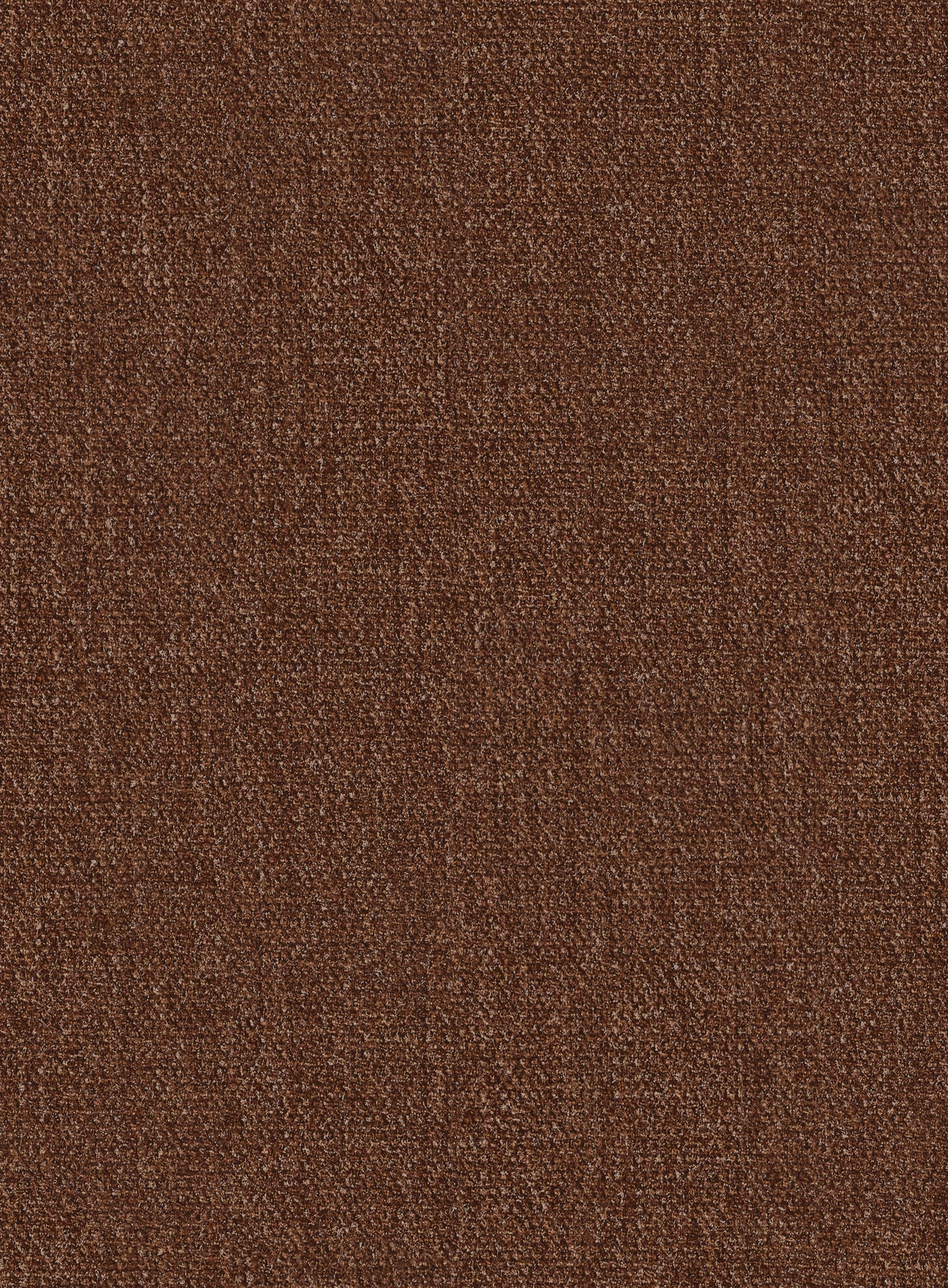 Ravina Chocolate -