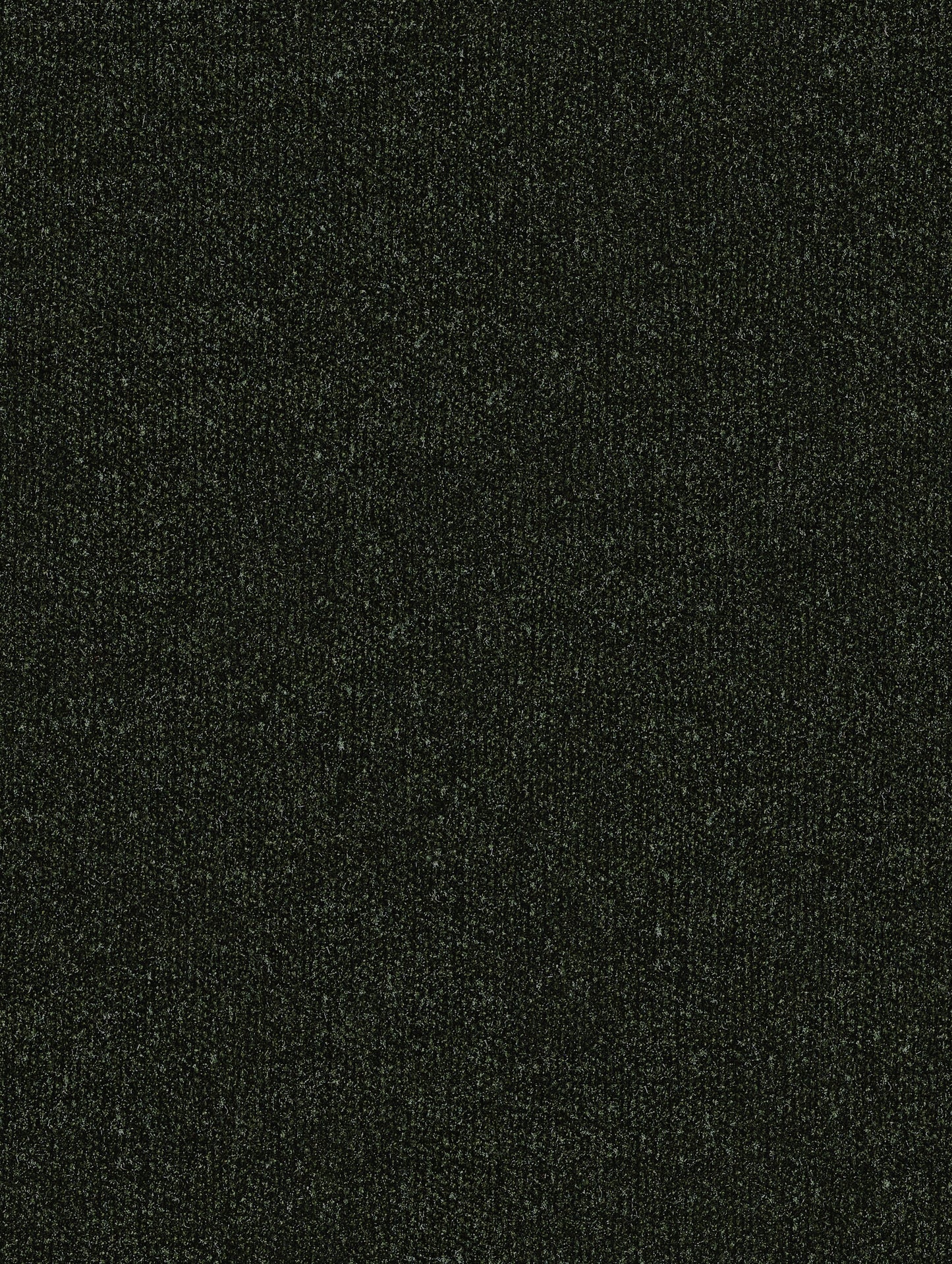 Ravina Forest -