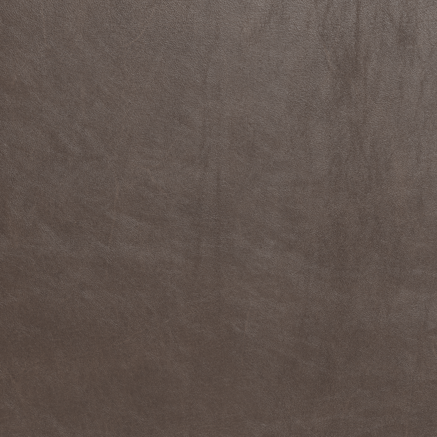 Ladybird Leather Laf Condo Sofa - Hudson Iron