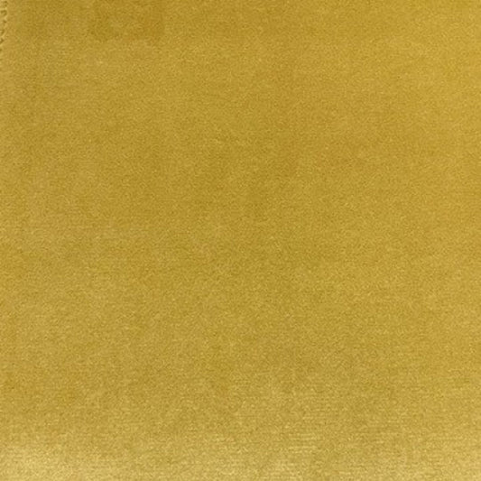 Sorrento Sunflower -