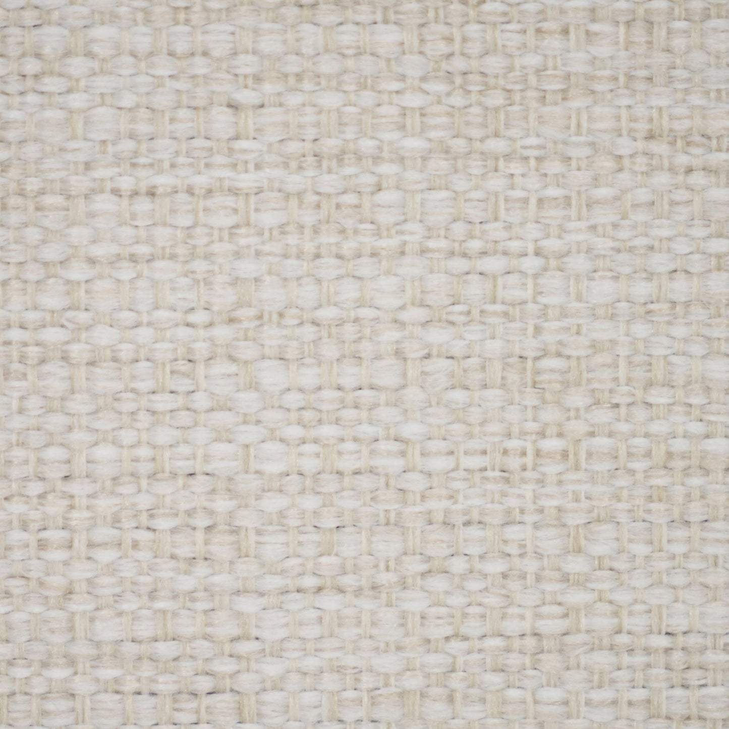 Tropez Oyster -