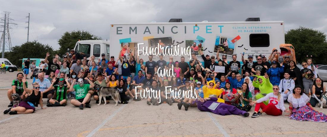 Fundraising and Furry Friends