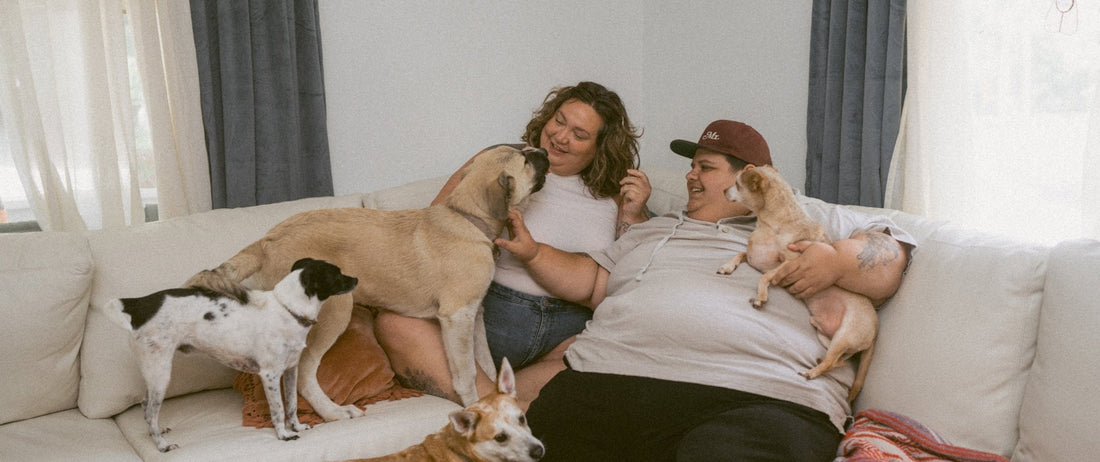 Bigger is Better: Corissa Enneking Teams Up with Couch Potatoes to Find the Perfect Plus-Size Couch