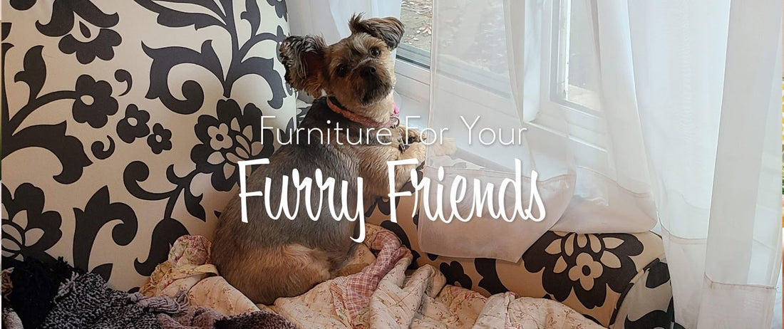 Get Your Furry Friends Some Furniture