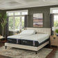 TEMPUR-LuxeAdapt® Soft Mattress (Plush)