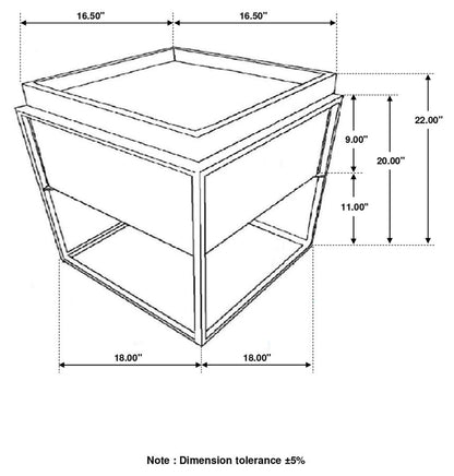 Orion Square Storage Accent Table