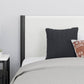 Cadyn Matte Black Queen Bed