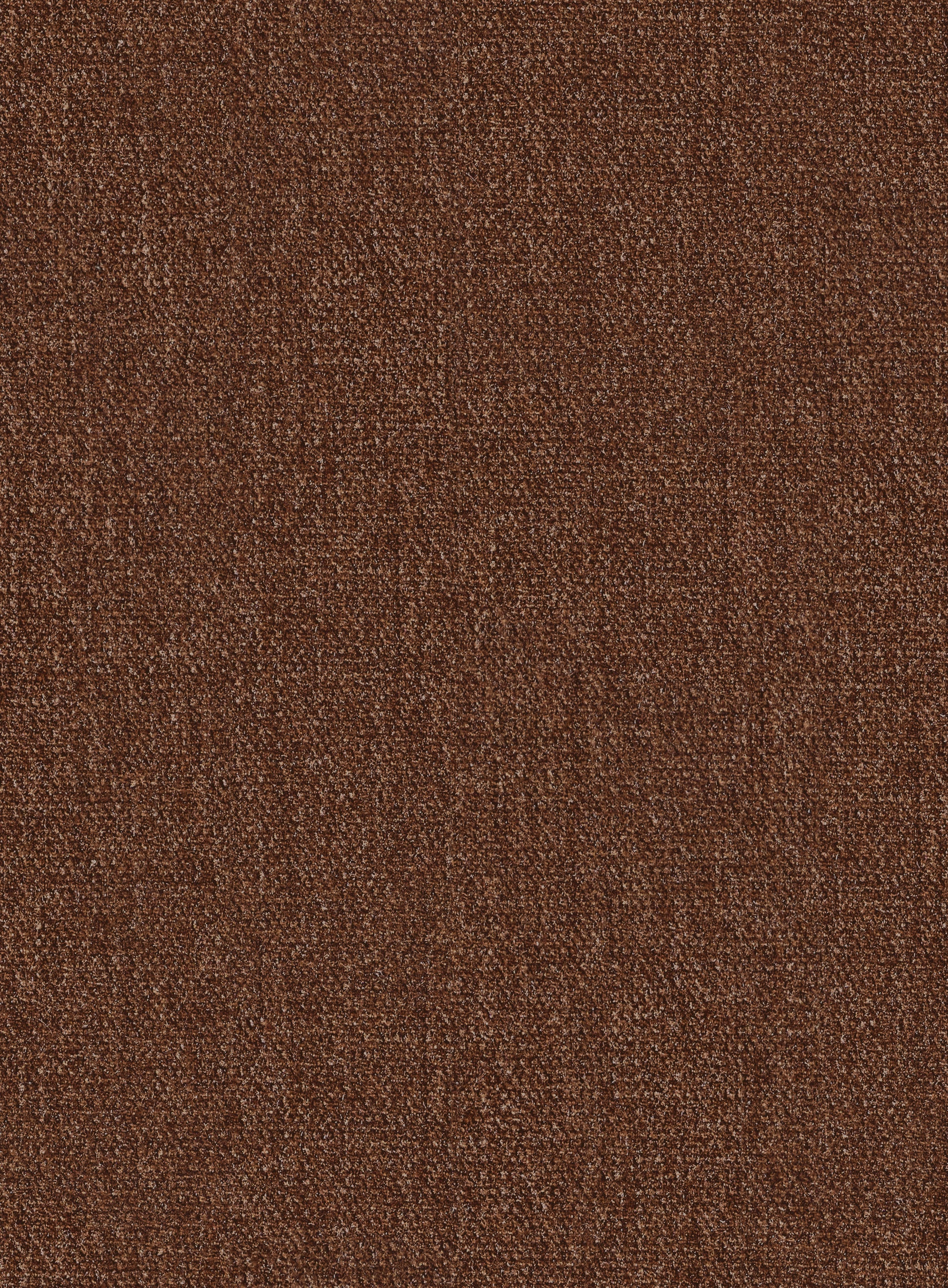 Ravina Chocolate -