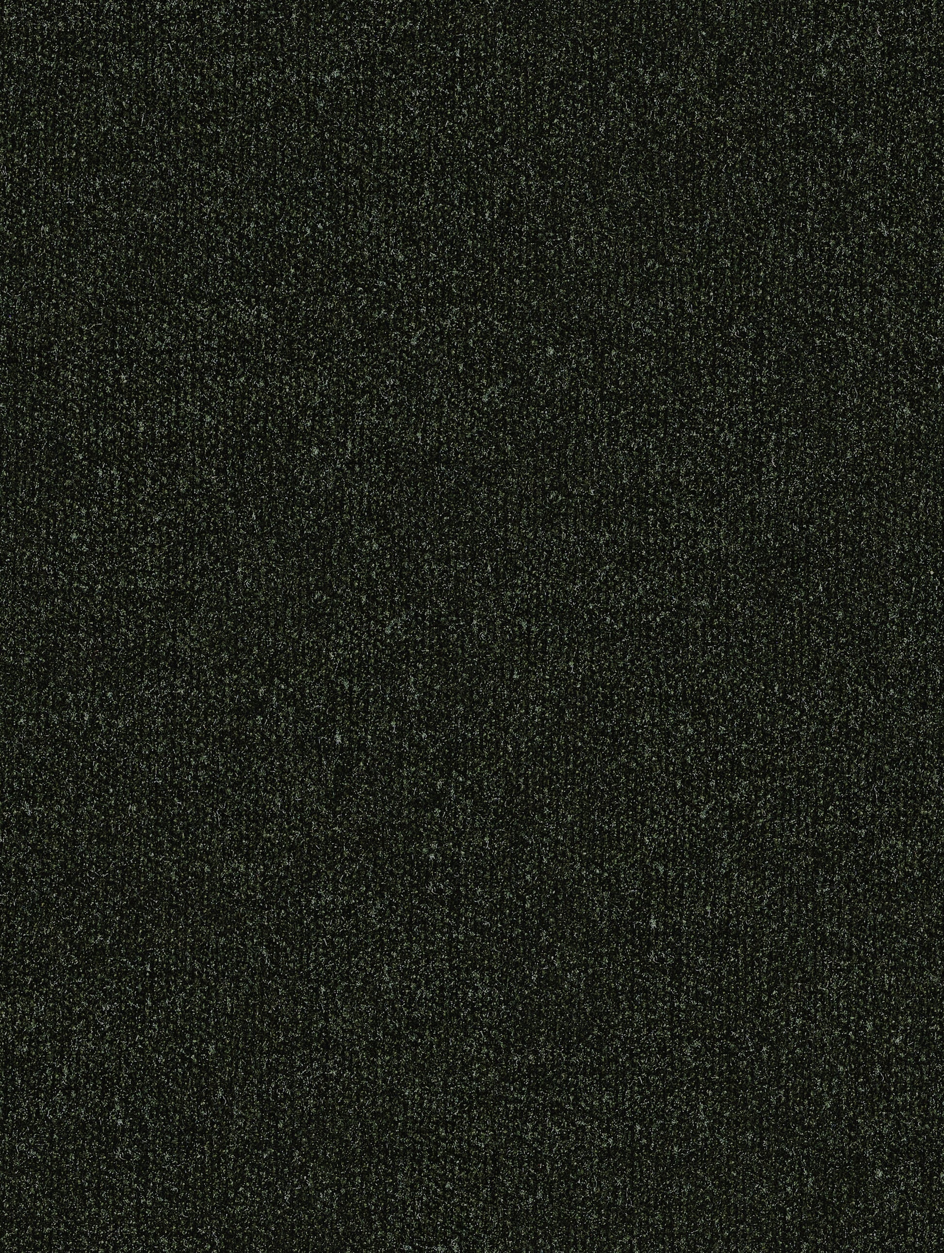 Ravina Forest -