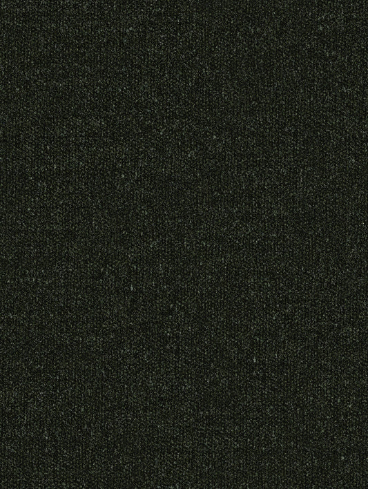Ravina Forest -