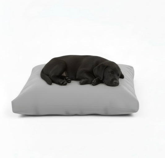 Couch Potatoes Small 30" Pet Bed