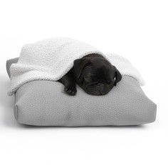 Couch Potatoes Small 30" Pet Bed