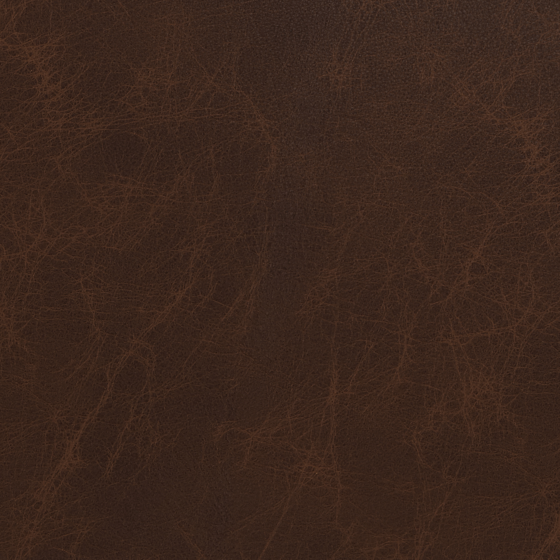 Lamar 69" Leather Loveseat - Cheyenne Arrowshaft