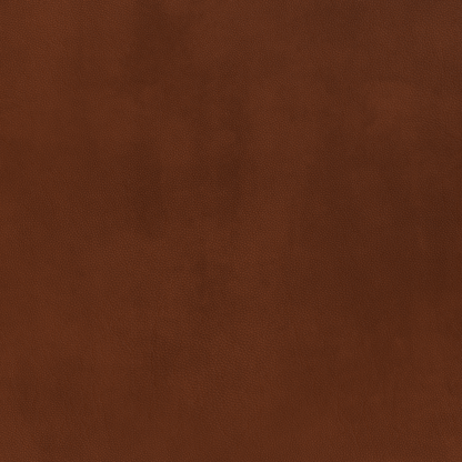 Mesa Leather Raf Condo Sofa - Ever-Last Leverage