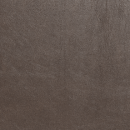 Wallace 52" Leather Untufted Twin Sleeper Sofa - Hudson Iron
