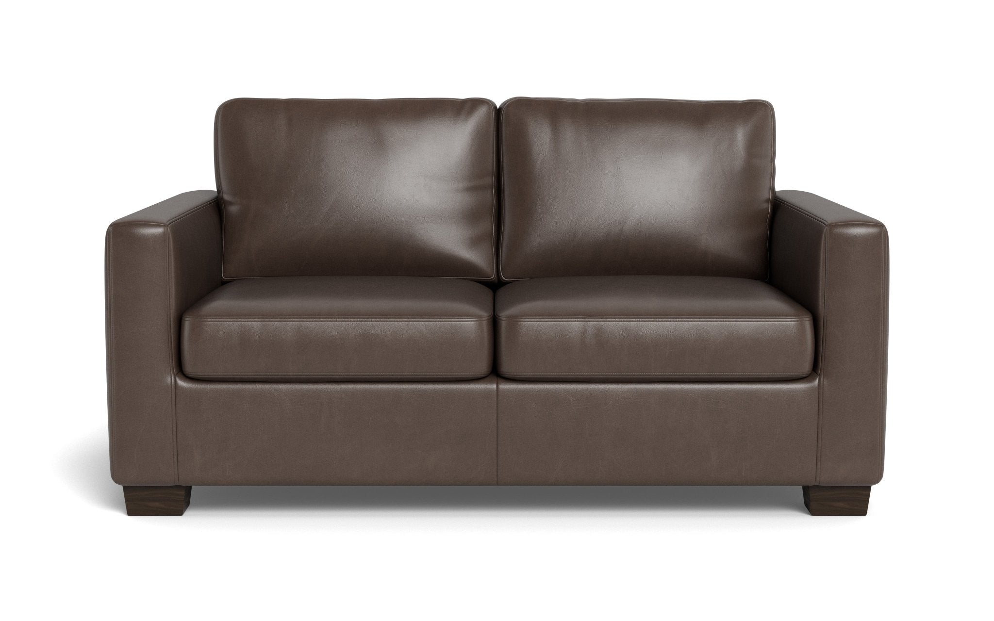 Leather twin online sleeper sofa